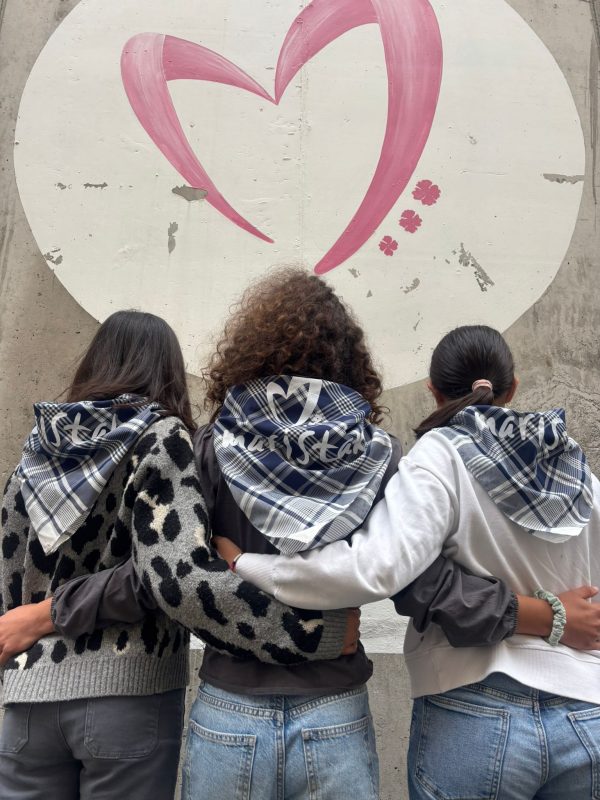Pañuelo solidario